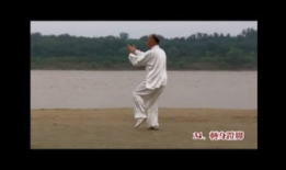 杨式91太极直播间,揭秘传统太极的精髓与魅力